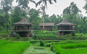Tepi Sawah Lodge & Retreat